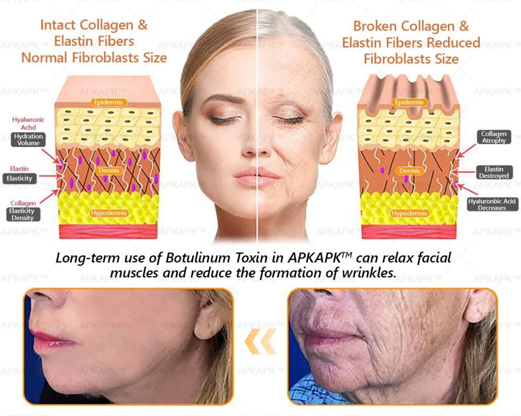 Diagrama - Como o Colagénio Diminui com a Idade